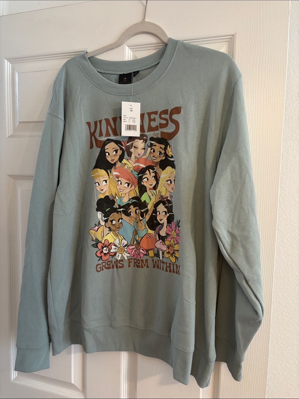 Disney Princess Graphic Crewneck Sweatshirt - Sage Green 1X